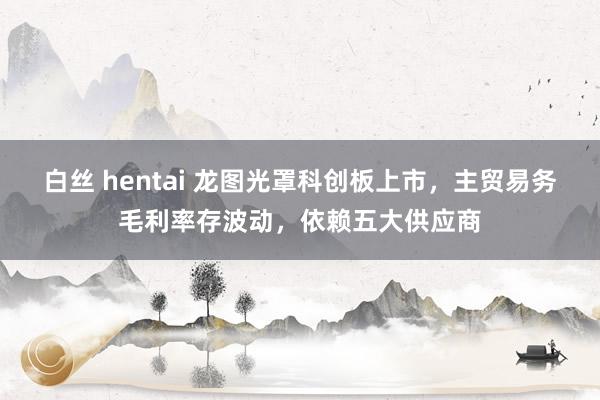 白丝 hentai 龙图光罩科创板上市，主贸易务毛利率存波动，依赖五大供应商