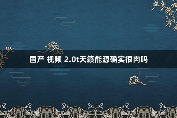 国产 视频 2.0t天籁能源确实很肉吗